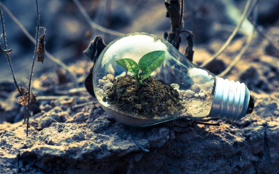COP30 : un bilan contrasté mais des avancées réelles pour une transformation écologique juste